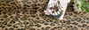 DansoShag Collection
