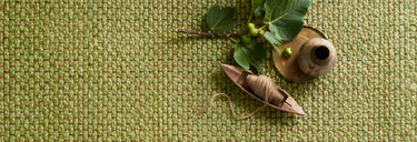 Eco Collection
