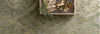 Everson Collection
