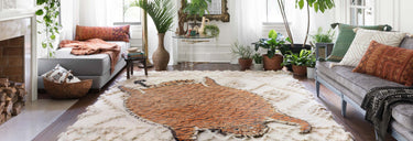 Feroz Collection
