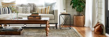 Hanover Collection
