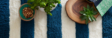 LolaShag Collection
