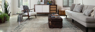 Nyla Collection
