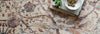 Porcia Collection
