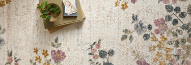 Provence Collection
