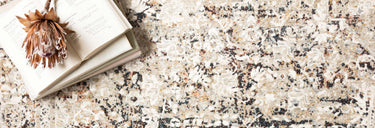 Theia Collection
