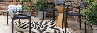 Zadie Collection
