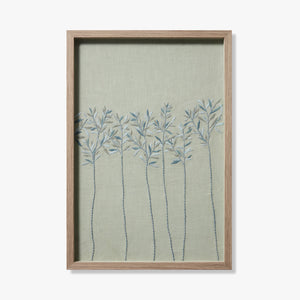 CASSIA