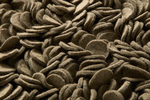 ANISE