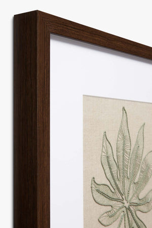 SCHEFFLERA