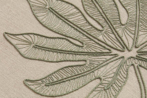 SCHEFFLERA