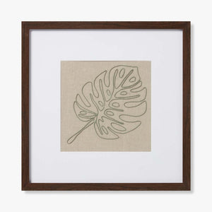 MONSTERA