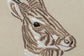 SAOLA