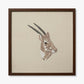 SAOLA