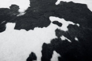 FP0001 BLACK / WHITE