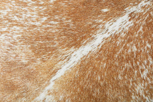 FP0002 BEIGE / WHITE