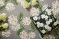 JOI-04 RP HYDRANGEA GREY