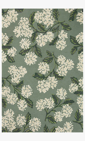 JOI-04 RP HYDRANGEA SAGE