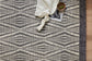 KNZ-01 IVORY / CHARCOAL