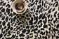 MAS-02 BLACK / IVORY