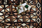 NAL-05 SPICE / BLACK
