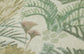 PJB0038 SAGE
