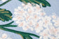 HYDRANGEA PRP0013 BLUE / IVORY