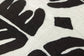 PJB0017 BLACK / WHITE