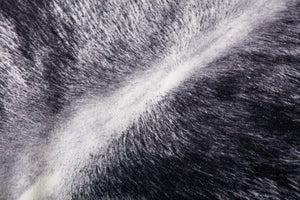P0979 CHARCOAL