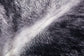 P0979 CHARCOAL