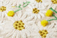DAISIES PRP0018 BEIGE