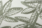 PJB0031 SAGE