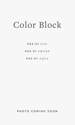 PAS-01 ED COLOR BLOCK / 02